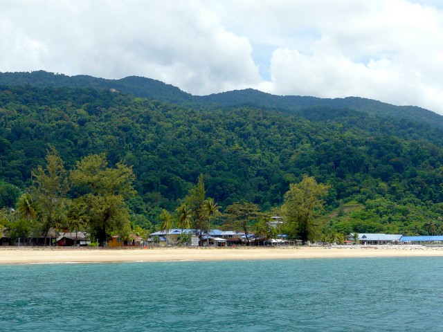 Tioman Tekek Bay beach and bat trees